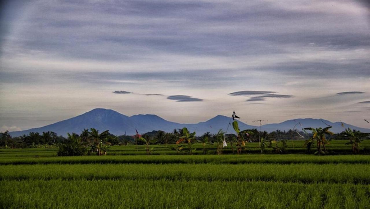 Pnb Bali Villas Canggu Zewnętrze zdjęcie