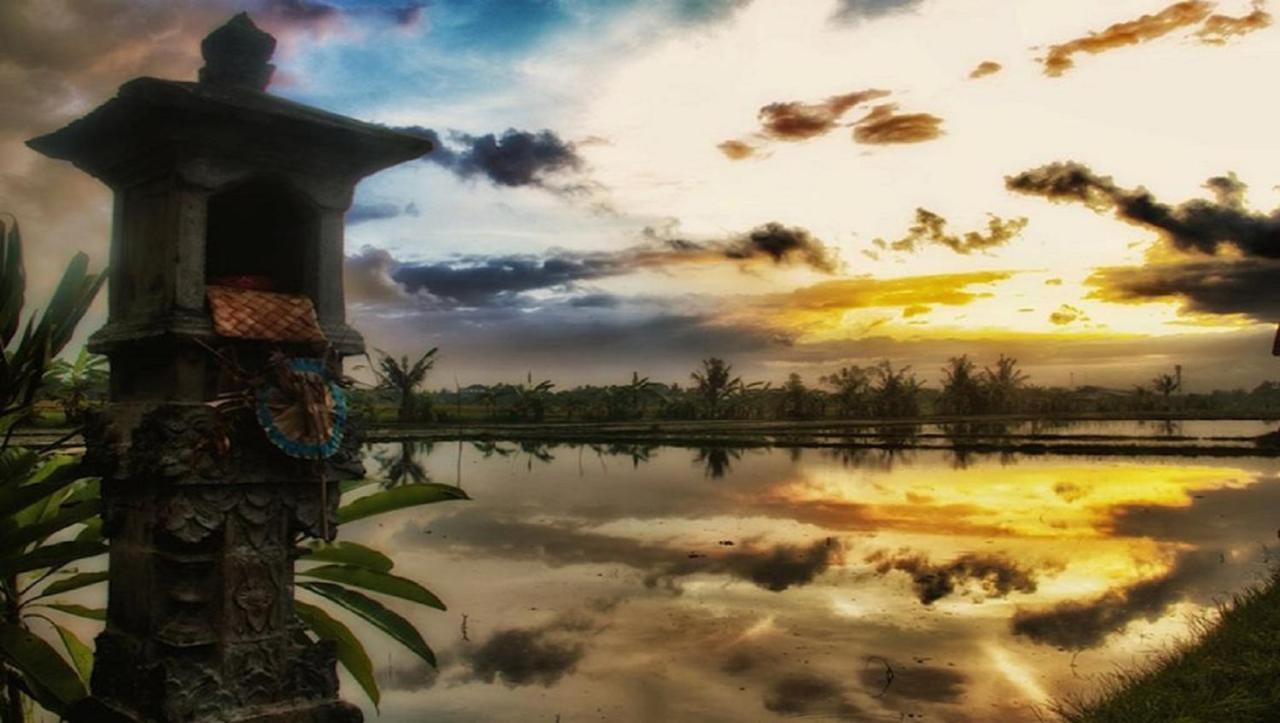 Pnb Bali Villas Canggu Zewnętrze zdjęcie
